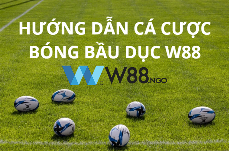 quy-tac-ca-cuoc-bong-bau-duc-w88